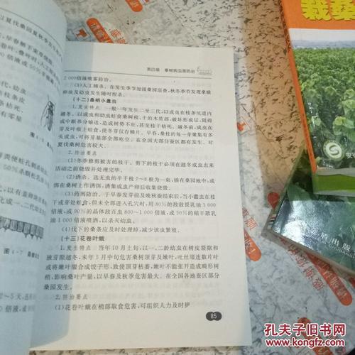 桑蚕省力的高效养殖技术论文 2