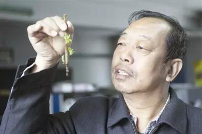 高考作文中必不可少的作文素材 2