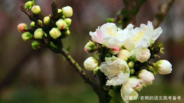高考作文辅导25:教师需不需要拥有惩戒权