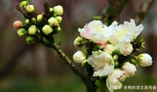 高考作文辅导25：教师需不需要拥有惩戒权