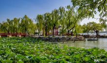 颐和园游记 颐和园游玩作文400字