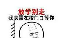 表哥 我的表哥作文300字