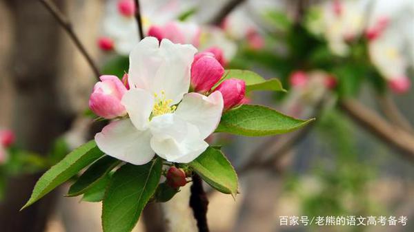 高考作文辅导25:教师需不需要拥有惩戒权 2