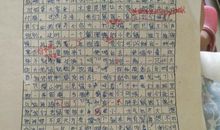 别样的鼠年 战胜疫情作文700字