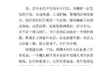 激烈的足球赛 五年级记叙文400字