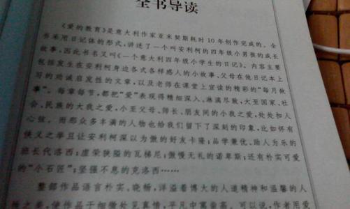 《爱的教育》 四年级读后感400字
