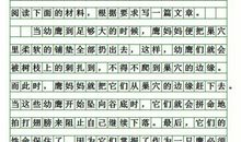 疏导比禁止有效 高一作文900字