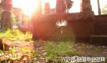 小学生写给英雄的一封信作文