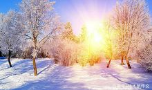 五年级作文：冬天的太阳