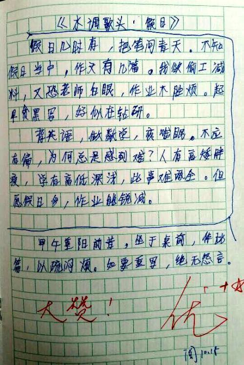 胃和脚的作文3篇