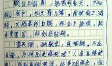 胃和脚的作文3篇