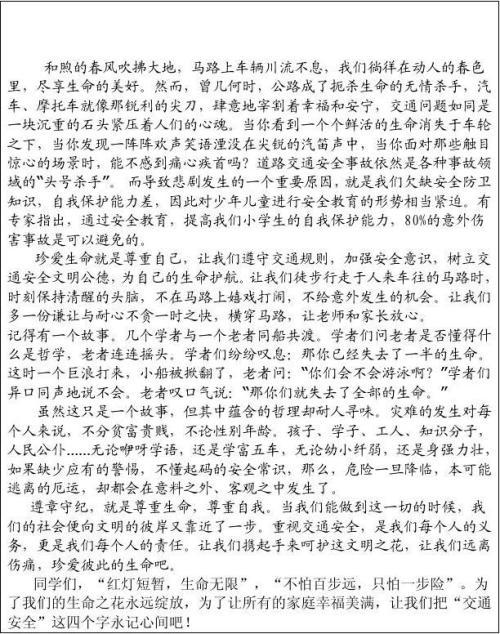 交通安全靠大家 小学生演讲稿500字
