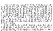 交通安全靠大家 小学生演讲稿500字