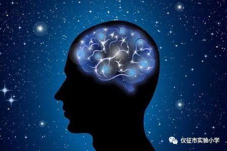乐读 | 初识“脑”的奥秘——《如何学习》读后感