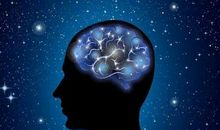 乐读 | 初识“脑”的奥秘——《如何学习》读后感