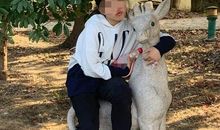 小学生获“疫”线新闻读后感特等奖，看《西游记》后有重大发现