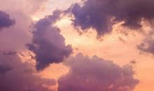 高分作文结尾！学生党必备！