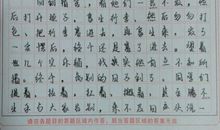 高一叙事作文：逛灯会啦_900字