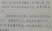 舞蹈小明星 四年级写同学的作文800字