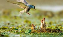 小学三年级优秀作文《我会变成什么》赏析