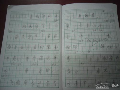 最新收集整理的80个田径论文题目