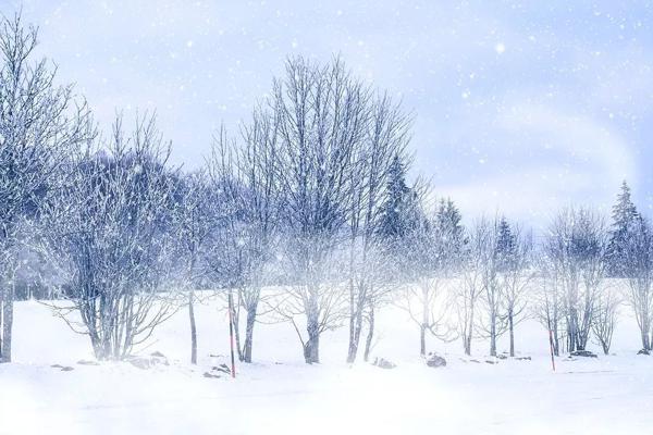 六年级作文展 5