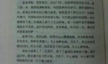 快乐的除夕 小学写事作文350字