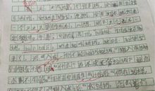 高二写人作文：我的奶奶_1200字