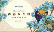 青春的花路 观后感1000字