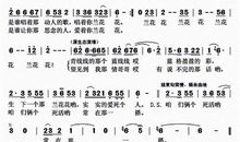 高一状物作文：兰花_750字