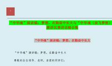 有关放飞梦想演讲稿模板集锦8篇