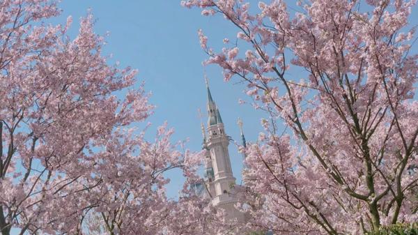 六年级作文展 8