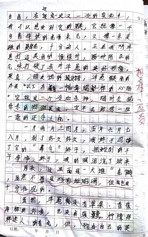 高一状物作文：金鱼_900字