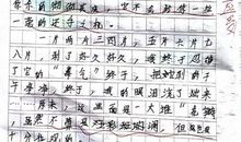 高一状物作文：金鱼_900字