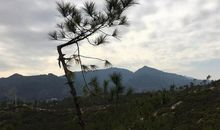 初二作文：家乡风景独好