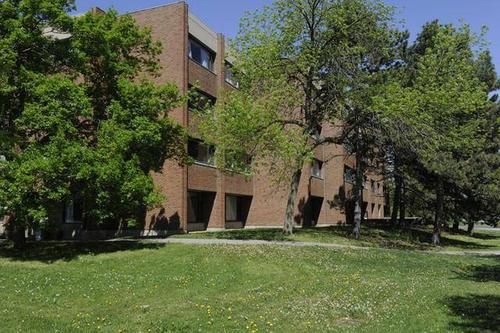 英国约克大学与加拿大约克大学的区别