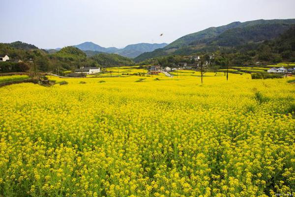 会写各种文体、发表无数文章的我,差点被同事孩子的作文逼疯 1