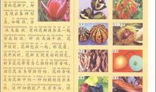 “疫”线面孔读后感｜求是（和家园）小学502班邵方萌：待到春花烂漫，展现最美笑颜