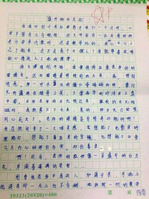 落叶藏诗意 高三作文800字