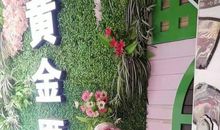 优秀作文展：《家乡的杨梅》