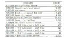 个人所得税制论文