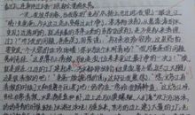 小学作文不一样的春节600字