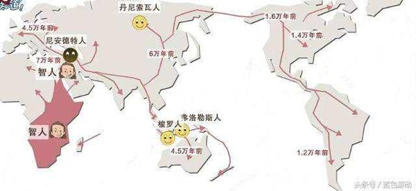 《人类简史》-读后感 2