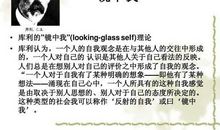 镜中肖像 学生自我介绍作文700字