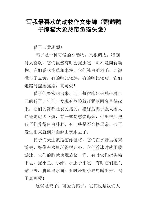 跑进家来的鹦鹉 写小动物的作文800字