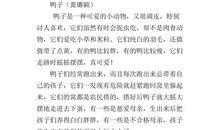 跑进家来的鹦鹉 写小动物的作文800字