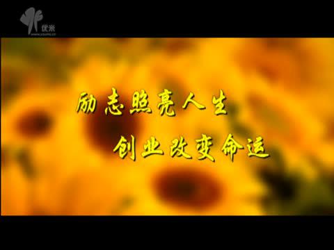 描写命运的精彩句子集锦