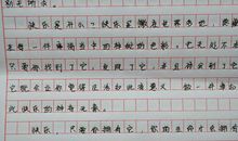 2007年武汉市中考满分作文――《学会留心》系列一_800字