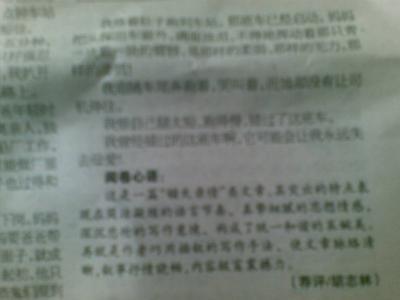 2011福建宁德中考满分作文：校园里的记忆_900字