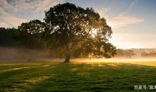 五年级作文：与雨相伴